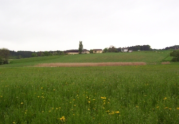 Vernässungszone am Außenrand der Raumeinheit, Kaiseredt 