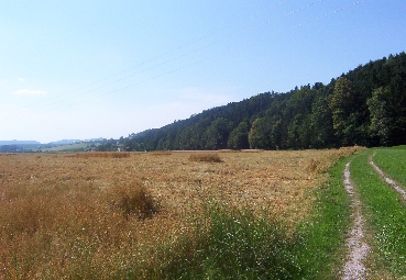 Hangwald bei Dachschwendau, ackerbauliche Nutzung auf dem Terrassenfeld 