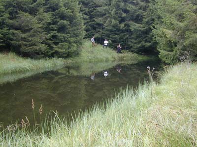 Kleiner, künstlich angelegter Teich ohne fischereilicher Nutzung im Obren Weilhartsforst 