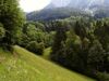 enge Verzahnungen von Wald und Wiesenbereichen südöstlich von Spital am Pyhrn am Rand der Raumeinheit 