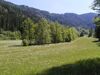 Nährstoffreiche Wiesen und bachgebleitende Gehölze im Talboden des Winklerbachtales 
