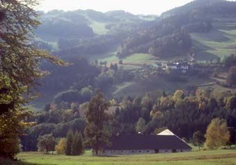 Kleinteilige Kulturlandschaft mit starker Verwaldungsdynamik an den Einhängen zum Tal der Kleinen Gusen bei Hirschbach.
