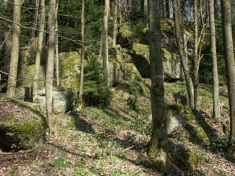 Blockburgen treten vor allem in Waldkuppen zu Tage; Pfenningberg.