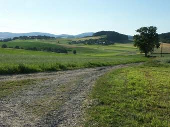 Landschaftsgerechte Einbindung von Dörfern in die Kulturlandschaft, markanter Flurbaum und Feldweg; Blick von Altenfelden auf Godersdorf und Wollmannsberg.