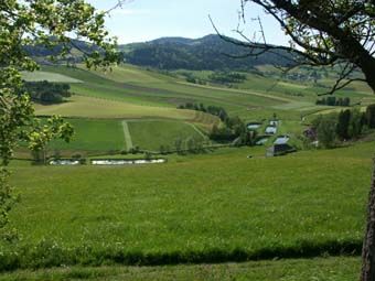 Fischteichanlage im Tal der - begradigten - Kleinen Mühl zwischen Oepping und Peilstein; Natura 2000-Gebiet, hinten die Nachbar-Raumeinheit SBA.