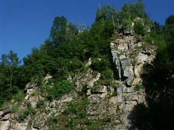 Felswand im Mühltal bei der Burg Pürnstein; mit Pioniergehölzbestand