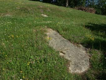 Wiesensteine sind selten gewordene Landschaftselemente; im Magersaum sind Quendel und Jakobs-Greiskraut zu sehen; Schweinzberg bei Altenfelden