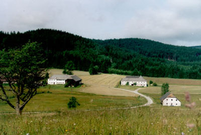 Siedlung Dürnau am Ostrand des Sternwaldes