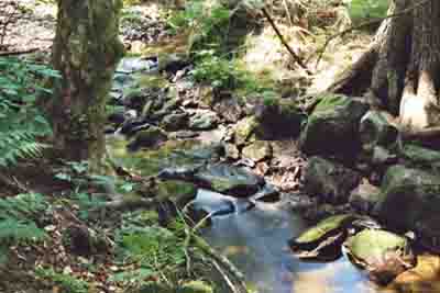 Rotbach bei Schöneben, Grenzfluß zu Tschechien