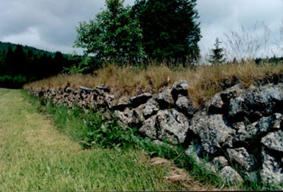 Lesesteinmauer 