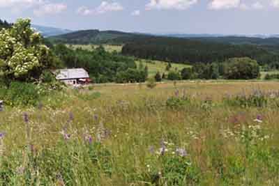 Noch waldfreie Wiesenlandschaft Sonnenwald