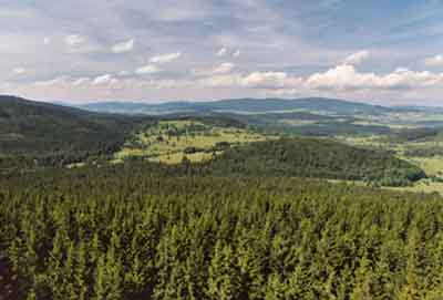 Blick auf den tschechischen Teil des Böhmerwaldes 