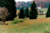 Naturschutzgebiet Orchideenwiese in Freundorf 