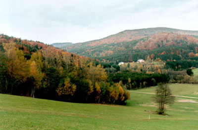 Größere Laubwaldinseln im nordwestlichen Teil des Böhmerwaldes