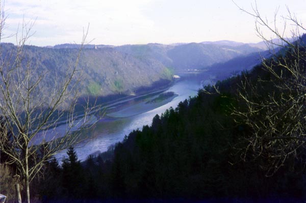 Oberes Donautal mit noch vorhandenen Schotterflächen von Waldkirchen aus im Jahr 1959 