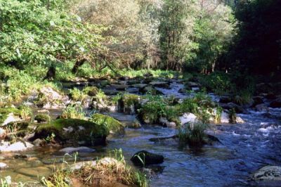 Tal der Großen Mühl 