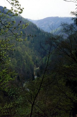 Die Talschlucht der Ranna vom Falkenstein aus 