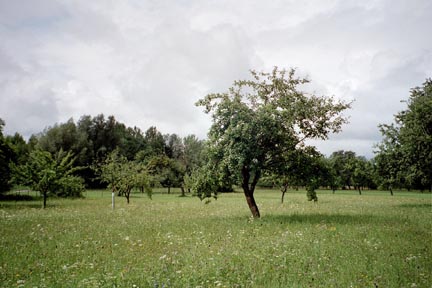 Ottensheimer Obstgärten 