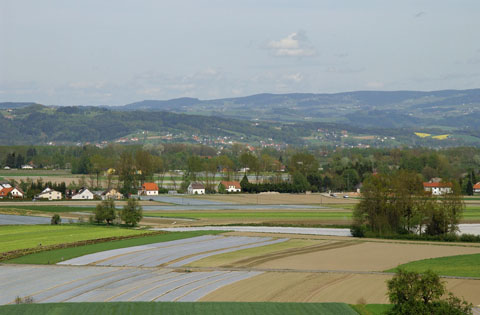 Gemüseanbau am Westrand des Eferdinger Beckens 