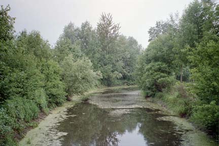 Galeriewald am Ofenwasser