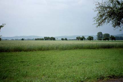 Kulturlandschaft der Au (bei Inn). Im Hintergrund die Raumeinheit Inn- und Hausruckviertler Hügelland 