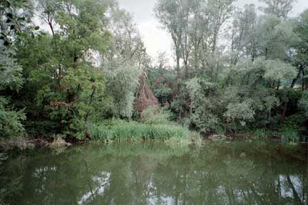 Ehemalige Schottergrube bei Freudenstein 