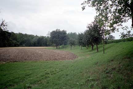 Niederterrassenkante bei Hofham 