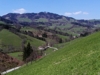 Blick auf die Buchschachen und den dahinterliegenden Glasenberg westlich Maria Neustift. Blickrichtung Nordwest