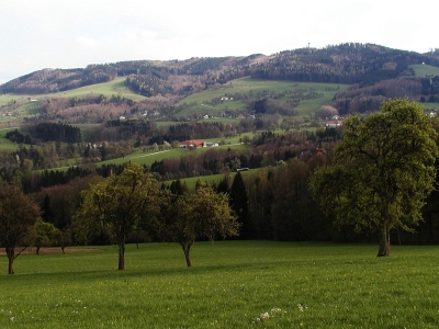 Blick auf den Damberg-Spadenbergzug und das Wiesengebiet von Unterwald von Gmain aus 2,1 km ostnordöstlich von St. Ulrich bei Steyr