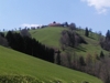 Landschaftsbild im südöstlichen Teil von Ebersegg vom Kleinramingtal aus. Blickrichtung Westen 