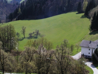 Planierte Einsaatwiesen 0,5 km nördlich von Kleinraming; Blick nach Südosten ins Ramingbachtal 