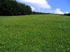 Berg-Glatthaferwiese auf der Hertlerwiese zwischen Schwarzberg und Braschenberg. Blickrichtung Nordwesten