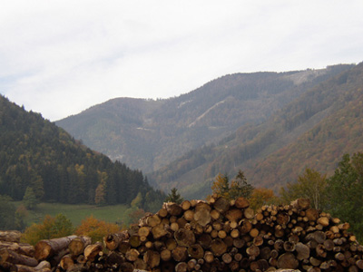 Laubmischwald, Blick vom Ennstal in den Hammergraben