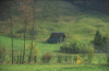 Buckelwiese im Dambachtal, Molln