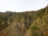 Föhrenwald, Felswände, westlich von Unterlaussa 
