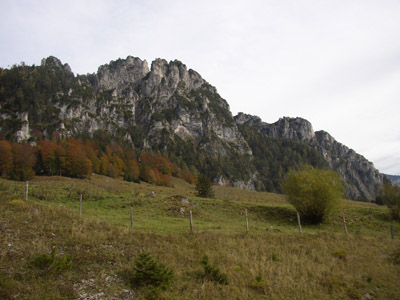 Weide, zwischen Oberlaussa und Hengstpass 