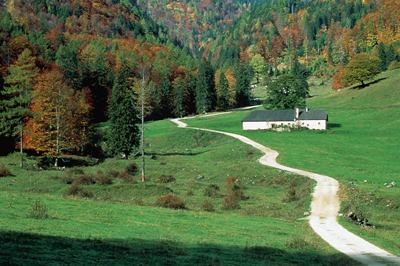 Feichtau-Alm in Molln, nördlich vom Hohen Nock 