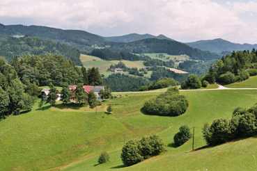 Landschaft bei Hornberg bei Dimbach 