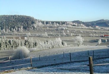 Stufenrainlandschaft bei St. Oswald bei Freistadt 