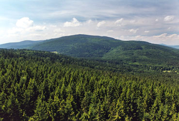 Die geschlossene Waldfläche des Böhmerwaldes von der Aussichtswarte Moldaublick, Blickrichtung Nordwest