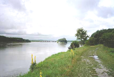 Donau unterhalb des Kraftwerks Ottensheim-Wilhering 