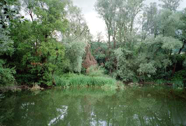 Ehemalige Schottergrube bei Freudenstein 