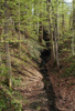 kleiner Tobel mit schmalem Eschenbegleitgehölz, 1,3 km südöstlich von St. Ulrich bei Steyr, Blickrichtung Südost  