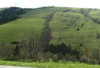 planierte und unplanierte Wiesen mit ursprünglicher Strukturausstattung im Kleinramingtal an den Nordhängen von Ebersegg, 3,7 km nordöstlich Kleinraming, Blickrichtung Südwest 