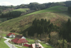 Großflächige Aufforstungen im Kleinramingtal an den Nordhängen von Ebersegg, 3,7 km nordöstlich Kleinraming, Blickrichtung Südost 