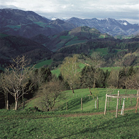 Kultur- und Waldlandschaft mit Blick auf das Sengsengebirge