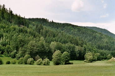 Waldrücken bei Haruckstein und Sarmingbach/-tal