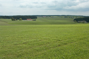 Einförmiges Intensivgrünlandgebiet Liebenschlag - Habruck; 10.6.2005 