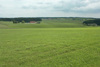 Einförmiges Intensivgrünlandgebiet Liebenschlag - Habruck; 10.6.2005 