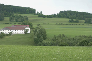 Terrassenlandschaft (hinten) mit Mährainen, einer lockeren Dornbuschhecke und verwaldeten Streifen bzw. Haselhecken; Solberg, 10.6.2005 